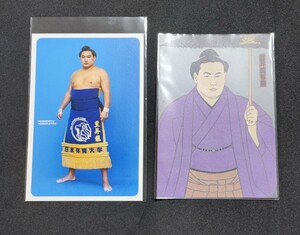 豊昇龍 ポストカード はがき 絵葉書 大相撲協会 ホウショウシュウ 豊昇龍智勝 名古屋場所 大関