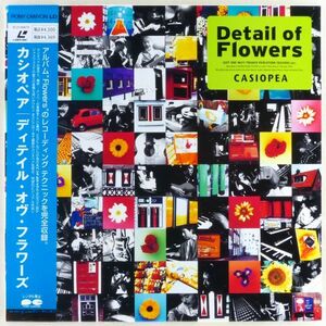 ○LD/レーザーディスク カシオペア(CASIOPEA)「ディテイル・オヴ・フラワーズ(Detail of Flowers」1996年 レコーディング テクニックを収録