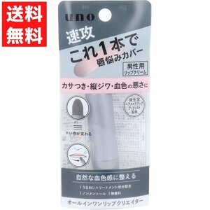 UNO ウーノ オールインワンリップクリエイター 2.2g 無香料 化粧品