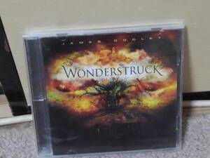 ジム・ドゥーリー/James Dooley■CD+DVD：Wonderstruck(ワンダーストラック)/Position Music Orchestral Series Vol. 7 *難あり？