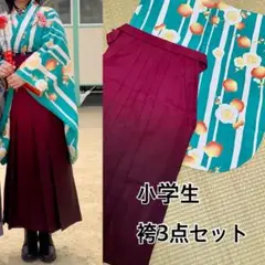 hiromichi nakano 150-160cm小学生 袴　袴セット