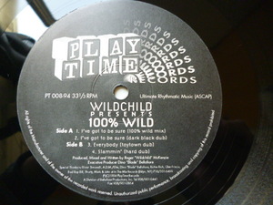Wildchild / 100% Wild アグレッシブ HOUSE 12 Everybody (Toytown Dub) lisa stansfield / people hold onネタ　試聴