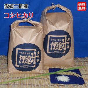 コシヒカリ 白米 2kg 2022年産 愛媛 三間産 伊達米 減農薬 特別栽培米 百姓直送 送料込み 宇和海の幸問屋