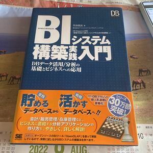 ＢＩシステム構築実践入門　ＤＢデータ活用／分析の基礎とビジネスへの応用 （ＤＢ　ｍａｇａｚｉｎｅ　ｓｅｌｅｃｔｉｏｎ） 平井明夫／