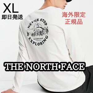 THE NORTH FACE ノースフェイス メンズ 長袖 ロンT Tシャツ バッグプリント アウトドア L XL