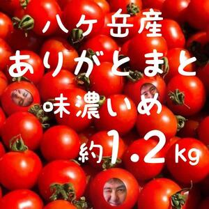 八ヶ岳産 行列ありがとまと 約1.2kg 味濃いめ！農薬は薄め！お子様も大好き！