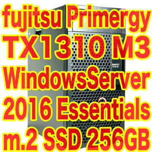 高性能NAS構築に！Fujitsu Primergy TX1310 M3 Windows Server 2016 Essentials インストール済 Celeron G3930 4GB m.2 SSD 256GB 富士通