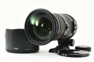 フード付 ★極上品★ SIGMA シグマ APO 50-500mm F4.5-6.3 DG OS HSM Nikon ニコン フルサイズ対応 超望遠ズームレンズ (3960)
