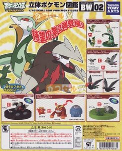 立体ポケモン図鑑　BW02　メスコンプ5種13体＋POP【ツタージャ、ジャノビー、ジャローダ、マメバト、ハトーボー、ケンホロウ（メス）