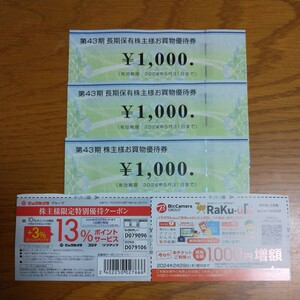 1円～ ビックカメラ 株主優待券 3000円分