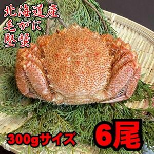 【北海道産】毛がに　6尾（300ｇサイズ）　堅蟹　毛蟹　けがに　ケガニ　蟹　かに　ボイル　母の日　父の日　お中元　お歳暮　年末