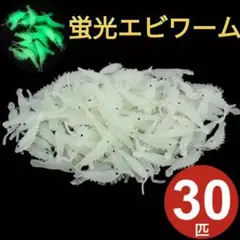 30個セット　エビワーム　蛍光　オキアミ　釣り　ワーム　エビ　蓄光　最安値