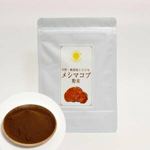 メシマコブ粉末100g 100%天然無添加 桑黄 天然 野生 霊芝 サルノコシカケ