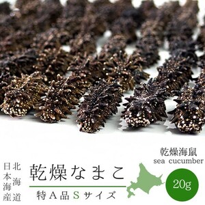 乾燥ナマコ特A級品Sサイズ20g 1本4g前後(特Aランク)北海道産乾燥なまこ 金ん子北海キンコ 海参！ 干しなまこ【メール便対応】