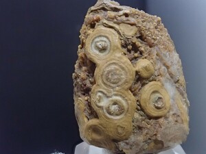【天然模様】ゴビアゲート　ゴビ瑪瑙　原石　標本