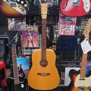 ★中古★simon and patrick trek natural solid spruce sg★サイモン＆パトリック★GODIN★