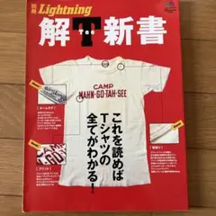 Lightning 解Tee新書　2010年