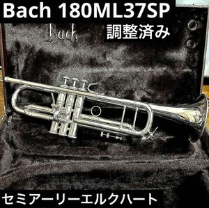 Bach トランペット 180ML37SP Stradivarius