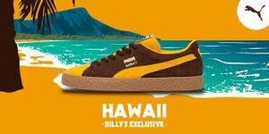 プーマ PUMA HAWAII OG スウェード スニーカー シューズ 27.0 復刻 Tangerine Dark Chocolate タンジェリン ダーク チョコレート 386258 01