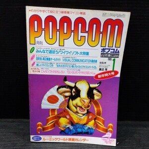月刊 ポプコム 1985年1月号 POPCOM マイコン雑誌 PC関連本 パソコンゲーム ソフト 周辺機器 ガイド 関数とグラフ マシン語 プログラム