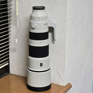 ソニー SONY FE200-600mm F5.6-6.3 G OSS SEL200600G　保護フィルターのおまけ付き 超望遠レンズ　600mm FE　フルサイズ　白レンズ