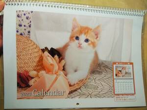 2023年 かわいい 猫ちゃん ねこ 子猫 ネコ 壁掛けカレンダー 見開き B4サイズ 新品