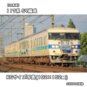 ◎KG写真【JR東海】117系電車 S9編成 ■トレイン117 ■ほたるトレイン □撮影:東海道本線 2011/6/11［KG0754］