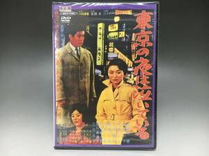 BI2/45　DVD / 東京の夜は泣いている / 未開封品 / 新東宝 歌謡シリーズ 傑作選 / 宇津井健 松尾和子 水原ユカ●