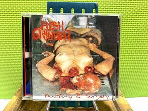 FLESH GRINDER Anatomy & Surgery ゴアグラインド gore grind lymphatic phlegm rotting carcass デスメタル death metal