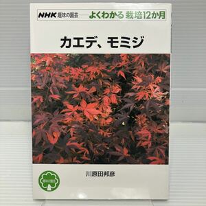 カエデ、モミジ （ＮＨＫ趣味の園芸　よくわかる栽培１２か月） 川原田邦彦／著 KB0733