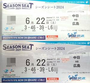 【通路側】6月22日(土) 中日ドラゴンズvs広島カープ レフト側 ドラゴンズ外野応援 連席