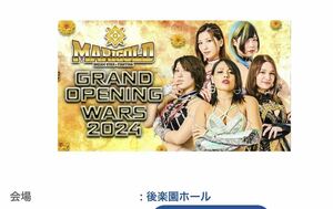 女子プロレス　マリーゴールド　チケット　後楽園ホール　6月11日　Sシート　最前列　特典付　南側　1枚 /ジュリア　林下詩美