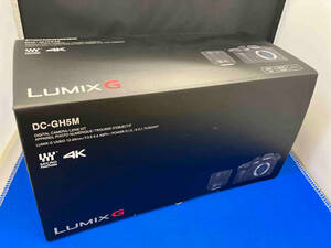 Panasonic DC-GH5M LUMIX DC-GH5 標準ズームレンズキット(G VARIO 1:3.5-5.6/12-60 ASPH. φ58 POWER O.I.S.) デジタル一眼