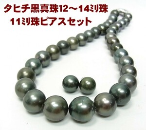 タヒチ黒蝶真珠上質大粒12～14mm珠 ネックレスに11ミリ珠ピアスを付けたセット/卸価格でご奉仕/送料無料