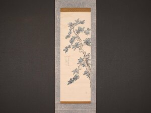 【模写】【伝来】sh7296〈伯遂〉花図 中国画