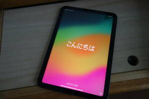 【送料無料】iPad mini 第6世代 256GB WiFi+Cellular スペースグレイ 付属品未使用の美品です（クリアケース付き）