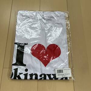 wenamie hanabi show Tシャツ