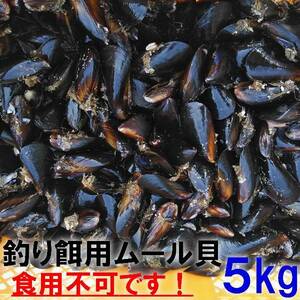 釣り餌に ムール貝５ｋｇ５キロ イガイ カラス貝 ムール貝 釣りエサ クロダイ 黒鯛 チヌ 石鯛 コブダイ カワハギ釣りに 冷凍餌 冷凍エサ★