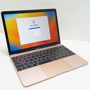 充放電回数少なめ！ ◇ Apple MacBook MNYN2J/A（Retina 12インチ Mid 2017）【Core i5-1.3GHz/8GB/SSD 512GB】