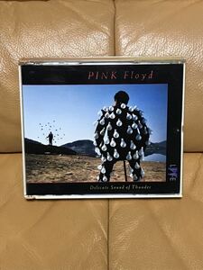 光／ピンクフロイド　Pink Floyd DELICATE SOUND OF THUNDER 国内盤　CD2枚組　