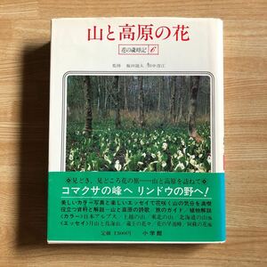 山と高原の花　　小学館　花の歳時記６　　昭和５７年初版　　監修　飯田龍太・田中澄江　　クリックポスト発送