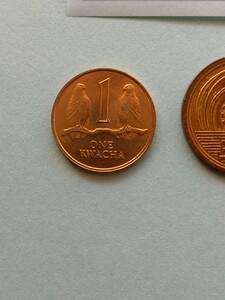 外国コイン　ザンビア　 (Rー８０７)　１クワチャ硬貨　１９９２年　鳥 (鷲)