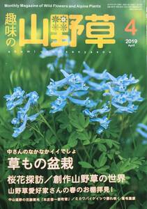 168 　趣味の山野草 2019年 4月号　草もの盆栽　桜花探訪　創作山野草の世界