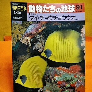 ねこまんま堂★週間朝日百科★動物たちの地球★シリーズ　バラ冊91