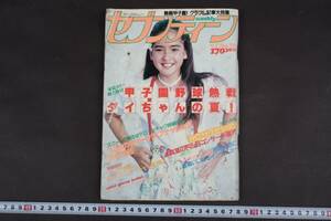 3028 セブンティーン 昭和57年 1982年 9.7 No.38 甲子園野球熱戦ダイちゃんの夏！ チャゲ&飛鳥 松任谷由実 あみん 松山千春 