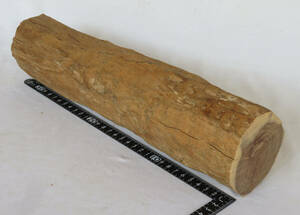 木材・香木の白檀・丸太・重さ約１４２５グラム・長さ約３４センチ