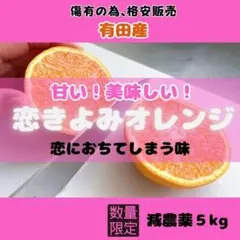 訳あり 減農薬!甘くて安心！和歌山 きよみ 清見 5kg 少農薬  有田　みかん