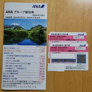 【即発送】最新・[2025年5月31日迄]ANA株主優待券2枚+グループ優待券
