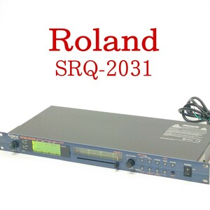 【美品・動作品】Roland SRQ-2031 デジタルグラフィックイコライザー ローランド
