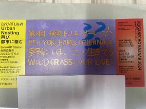 第8回　横浜トリエンナーレ　野草　今ここで生きてる　黄金町バザール・再び都市に棲むパスポート引換券付き